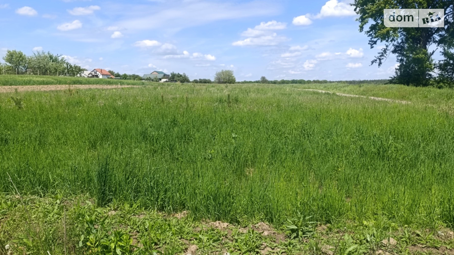 Продається земельна ділянка 12 соток у Вінницькій області, цена: 36000 $ - фото 4