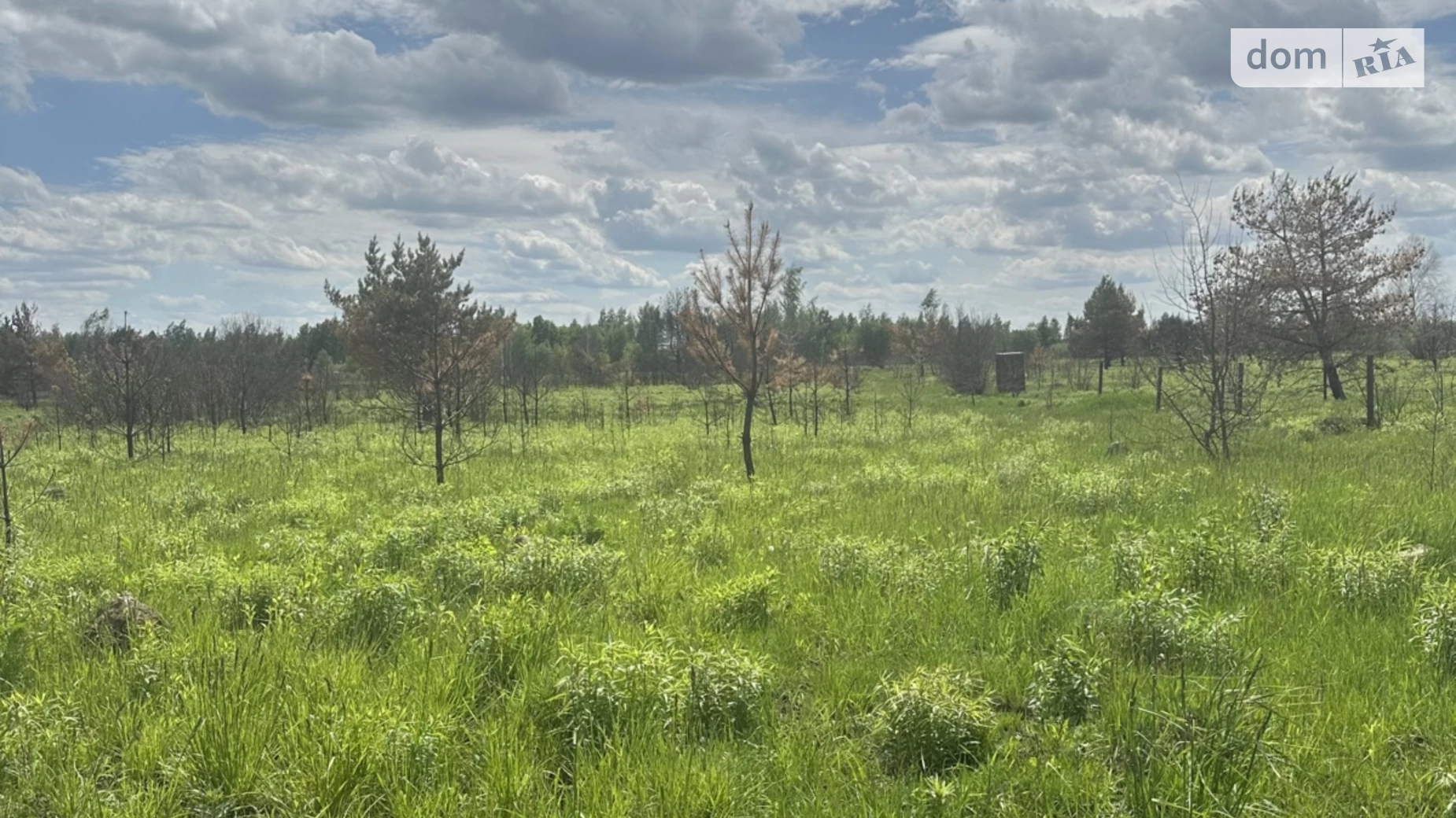 Продается земельный участок 20 соток в Винницкой области, цена: 12000 $ - фото 5