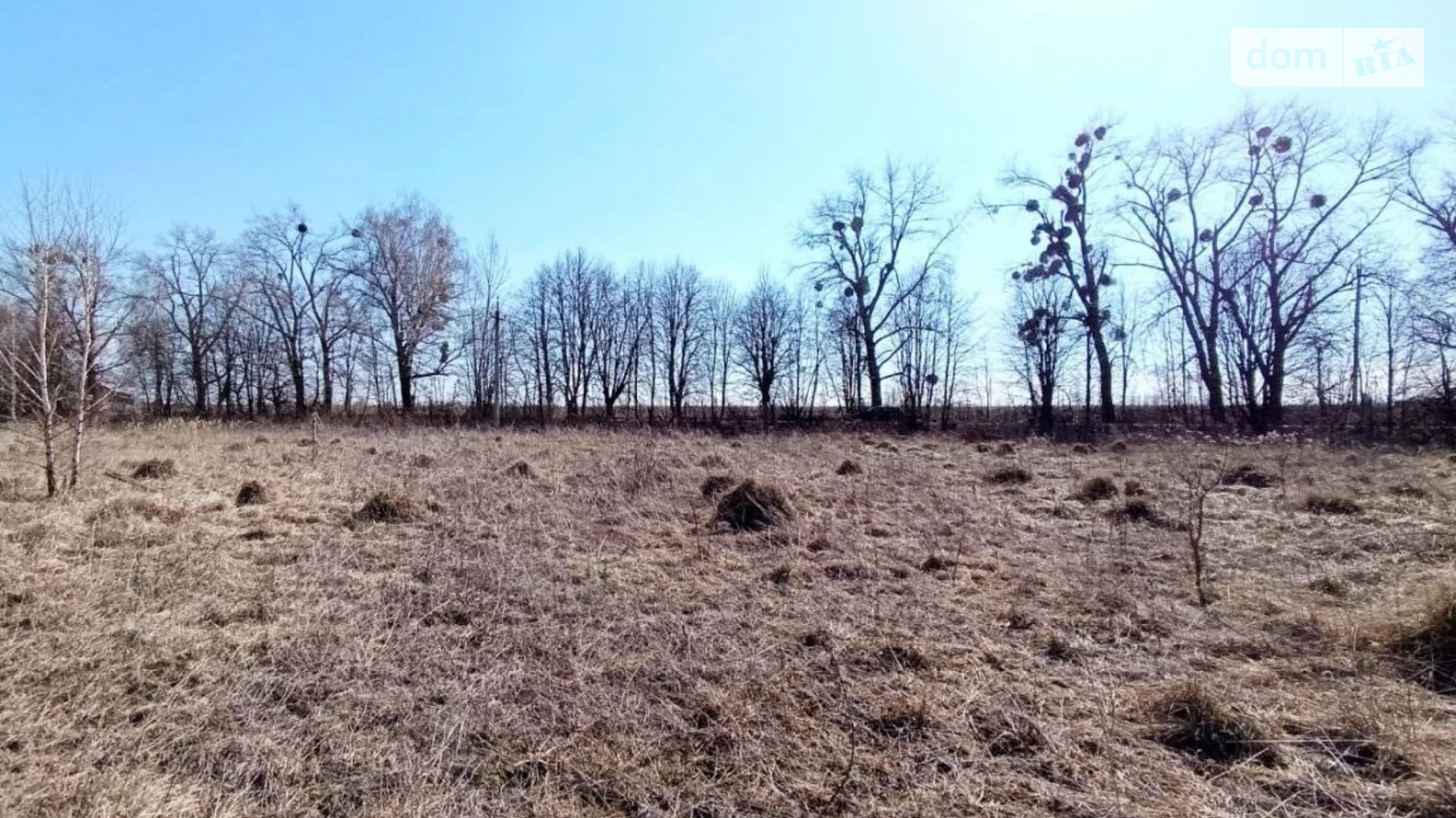Лісові Гринівці, цена: 27000 $ - фото 4