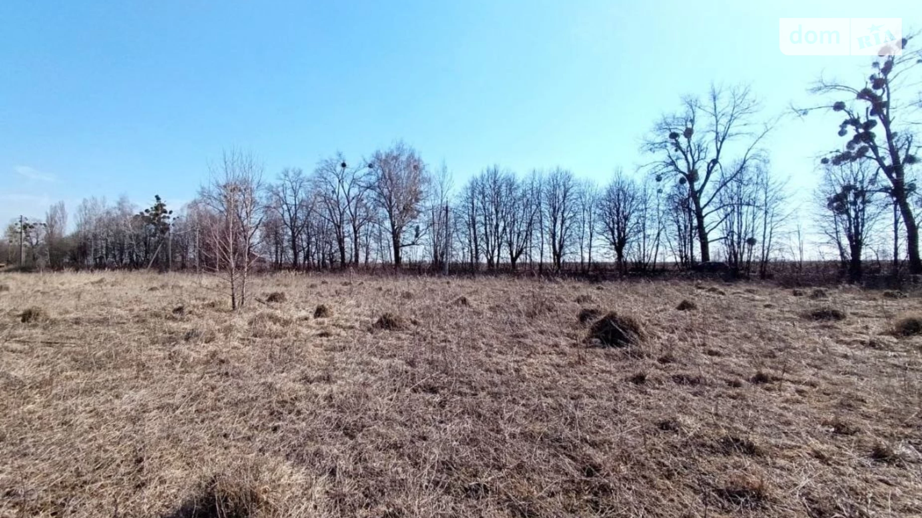 Лісові Гринівці, цена: 27000 $ - фото 5