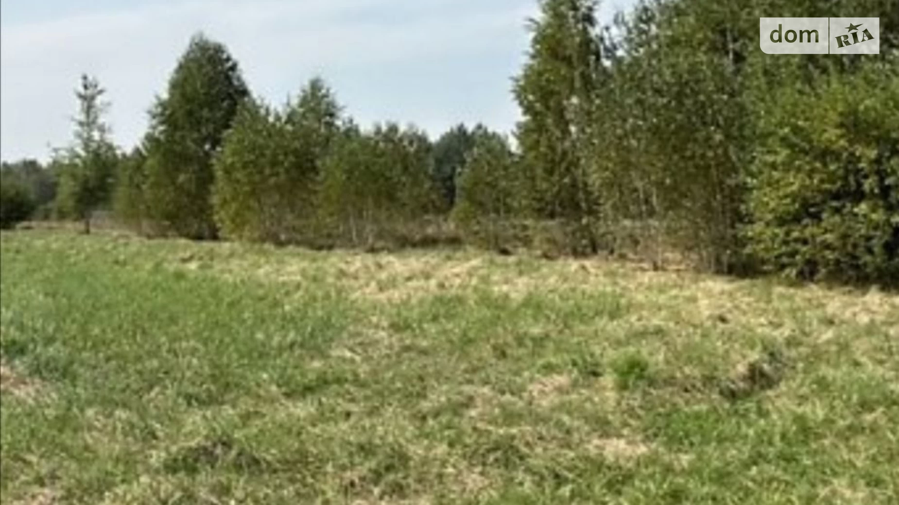 Бохоники, цена: 15000 $ - фото 4