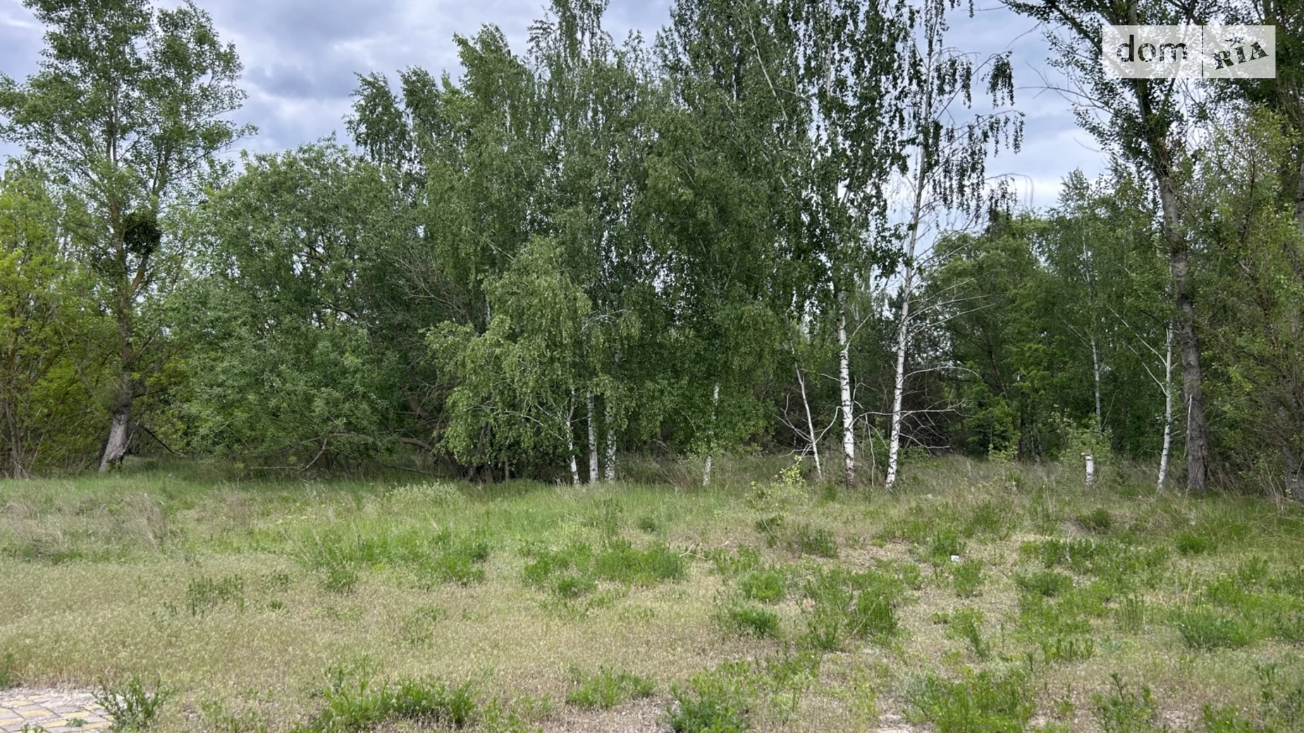 Продается земельный участок 15 соток в Киевской области, цена: 37000 $ - фото 2