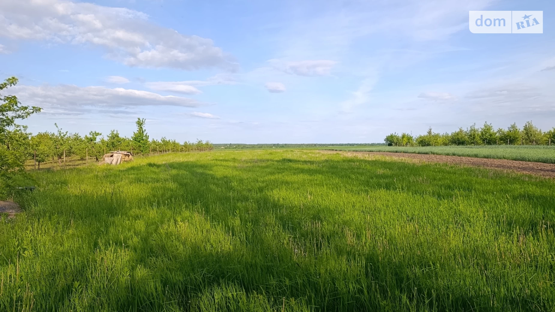 Продается земельный участок 23 соток в Винницкой области, цена: 8500 $ - фото 3