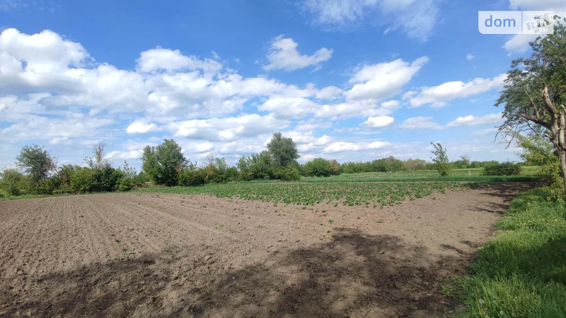 Продається земельна ділянка 50.17 соток у Вінницькій області, цена: 10000 $ - фото 2