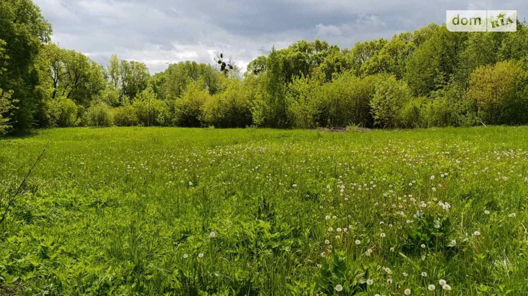 Продається земельна ділянка 37 соток у Хмельницькій області, цена: 12000 $ - фото 3
