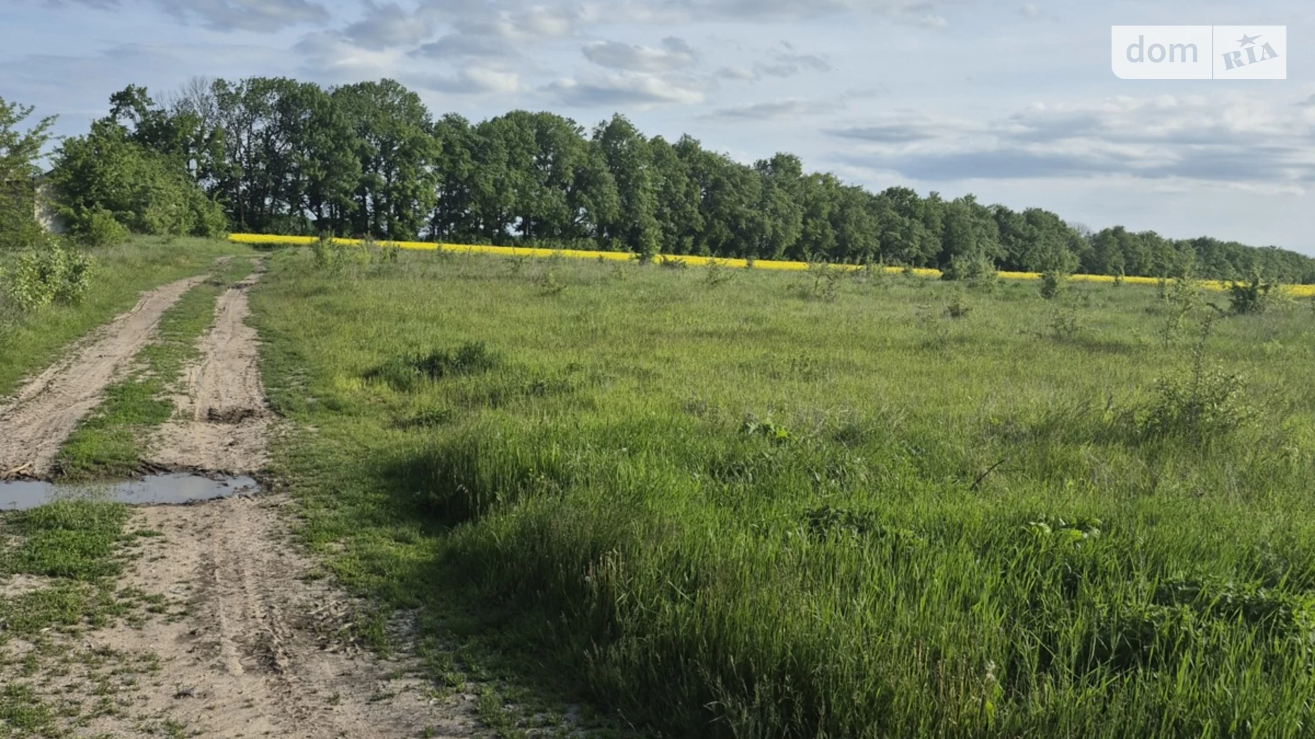 Лука-Мелешківська, цена: 63000 $ - фото 5