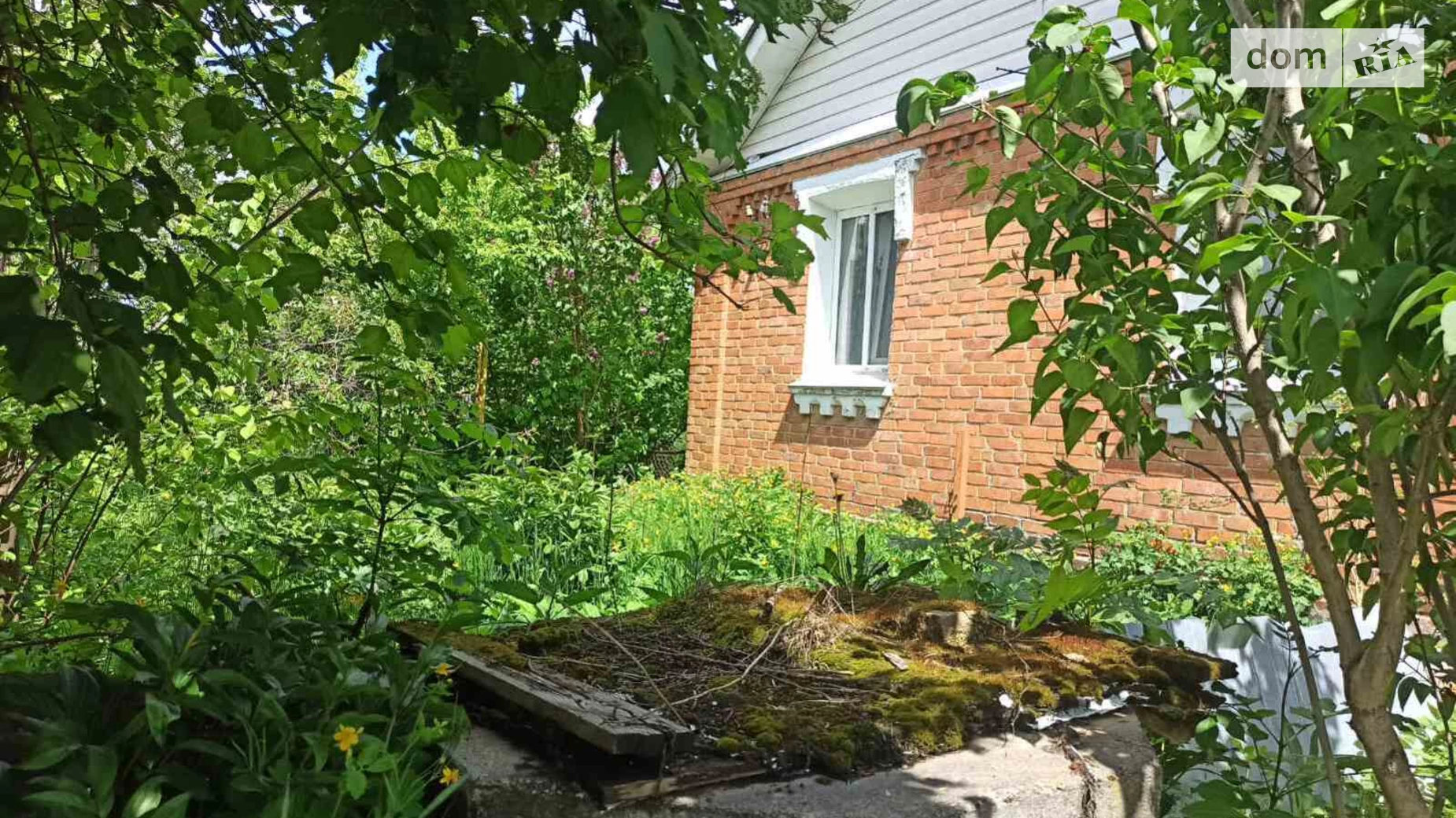 Продается одноэтажный дом 60 кв. м с подвалом, цена: 20000 $ - фото 2