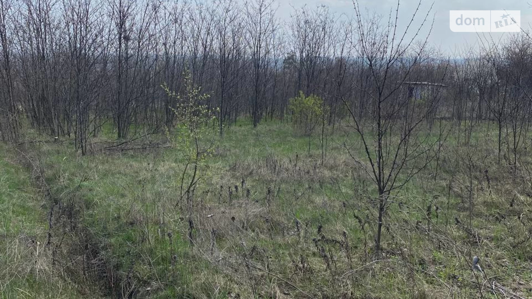 Продається земельна ділянка 10 соток у Дніпропетровській області, цена: 6000 $ - фото 3