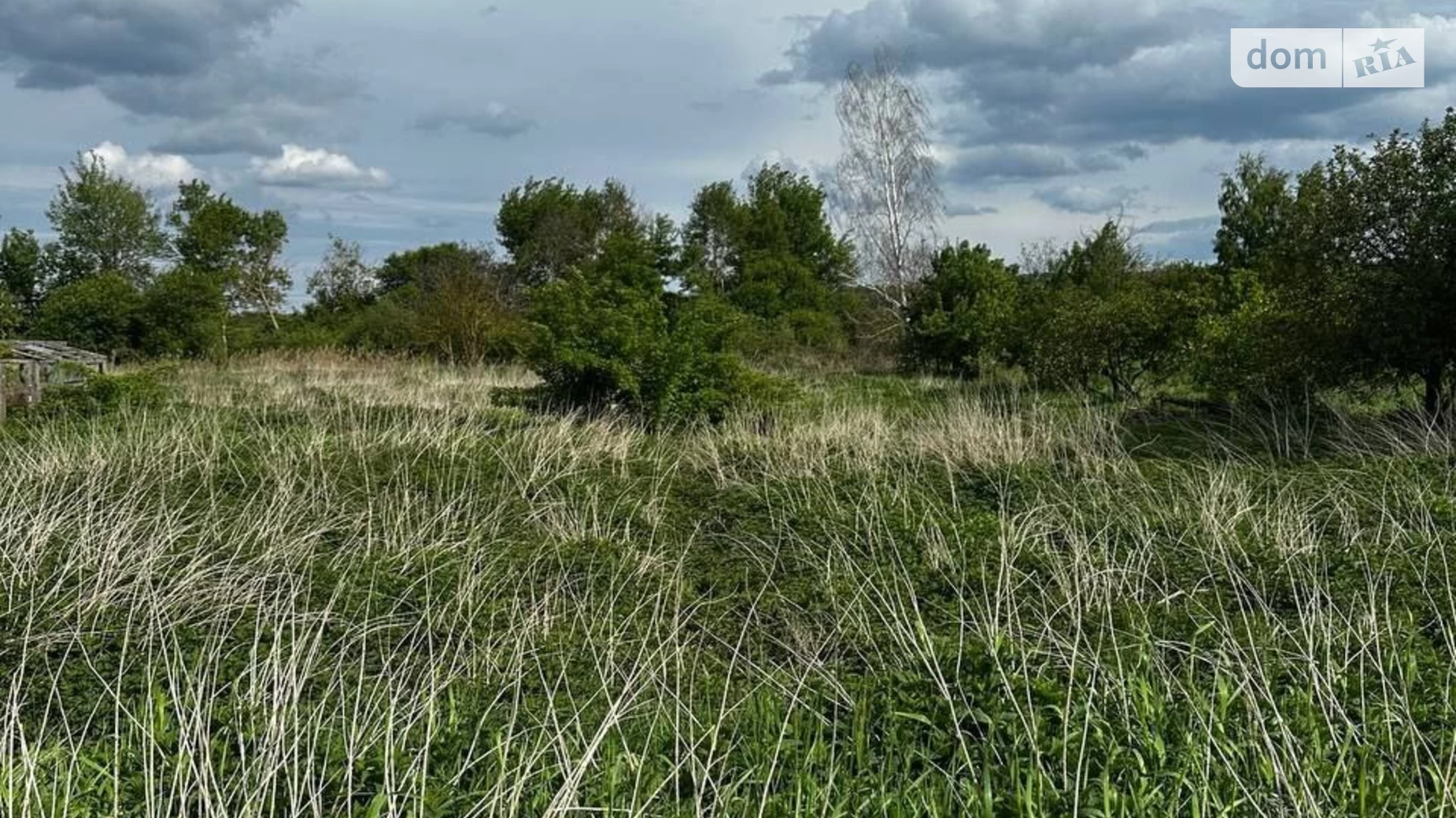 Гамалеевка, цена: 5500 $ - фото 3