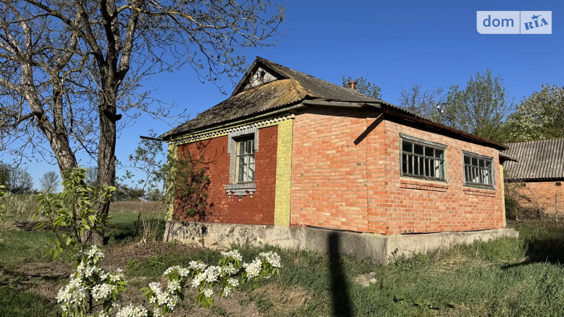 Продается одноэтажный дом 70 кв. м с садом, цена: 15000 $ - фото 5