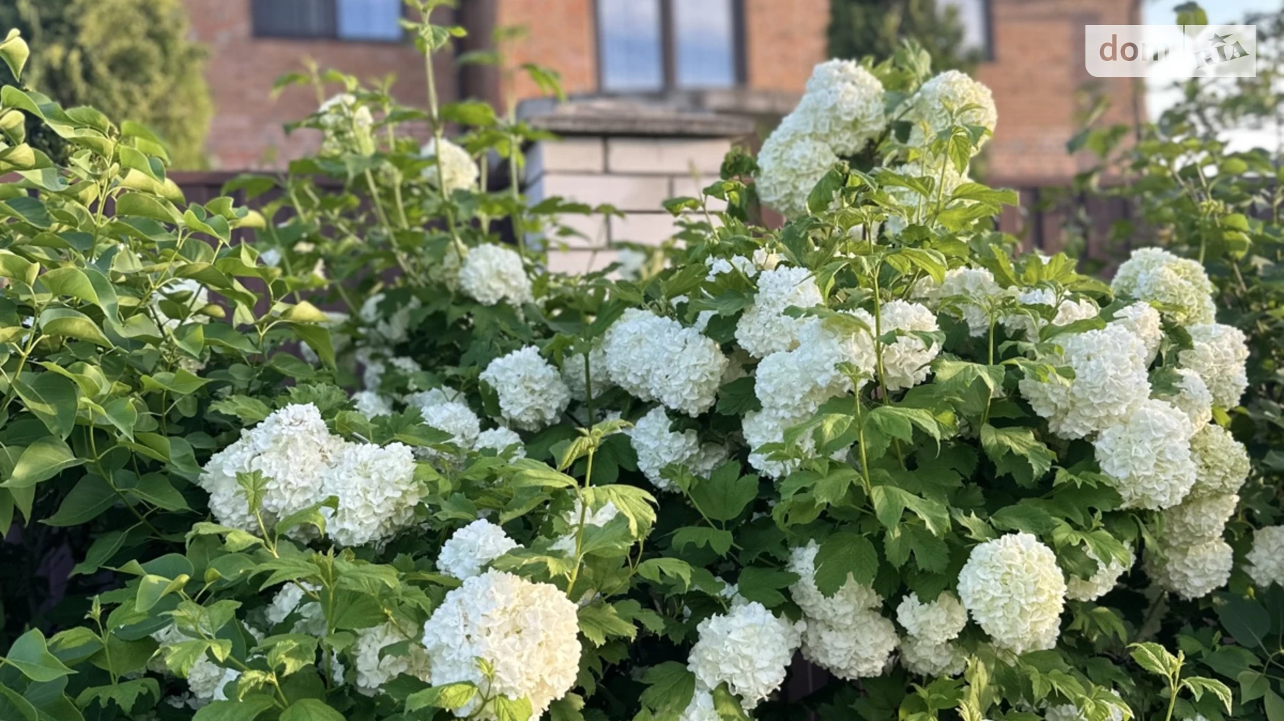 Продається будинок 2 поверховий 120 кв. м з подвалом, цена: 270000 $ - фото 2