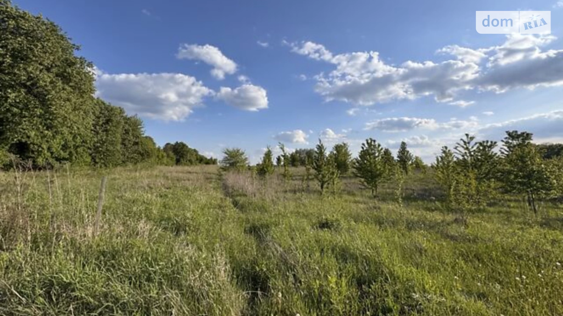 Продается земельный участок 20 соток в Винницкой области, цена: 27000 $ - фото 3