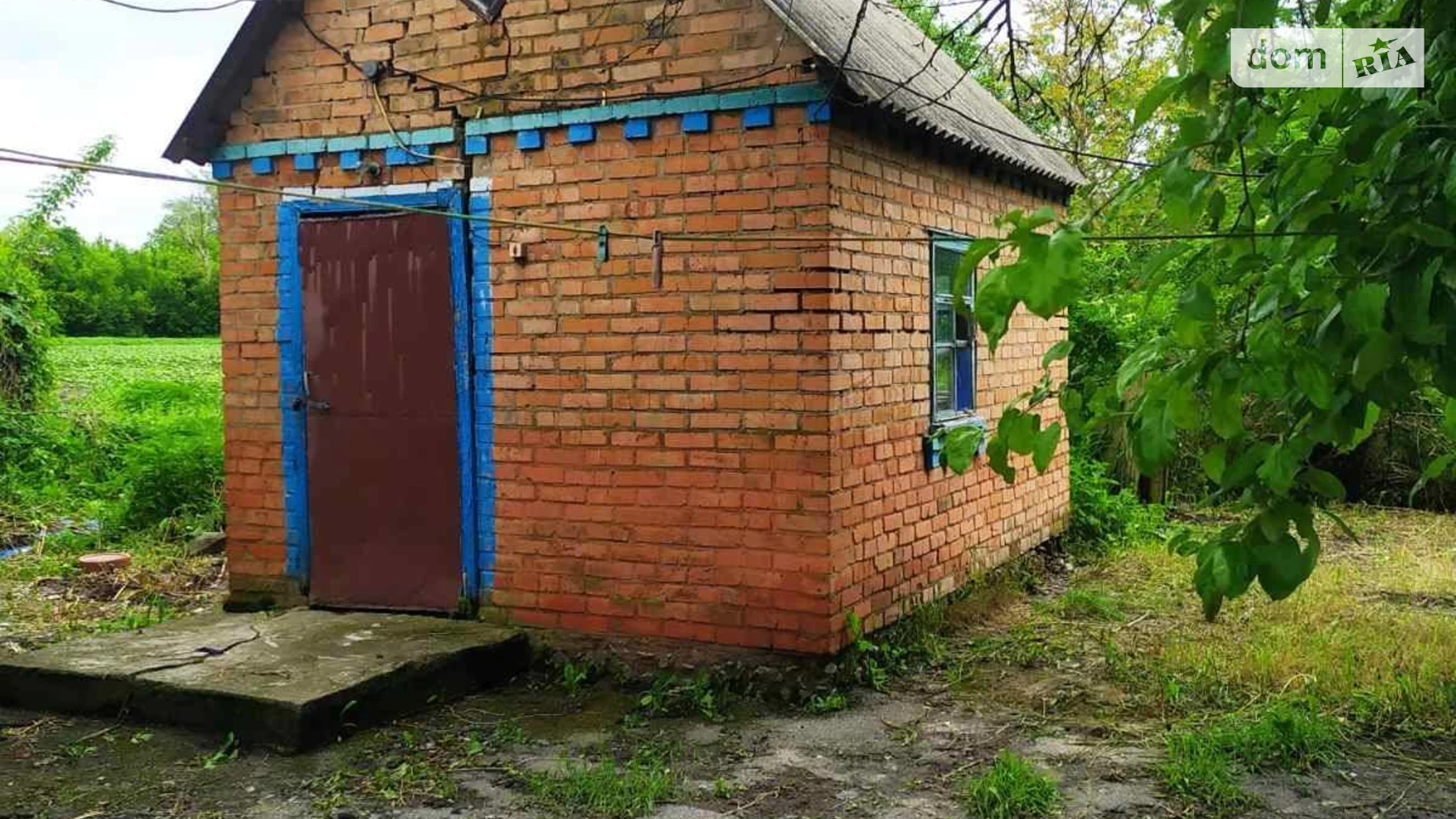 Продается одноэтажный дом 56 кв. м с участком, цена: 9000 $ - фото 5