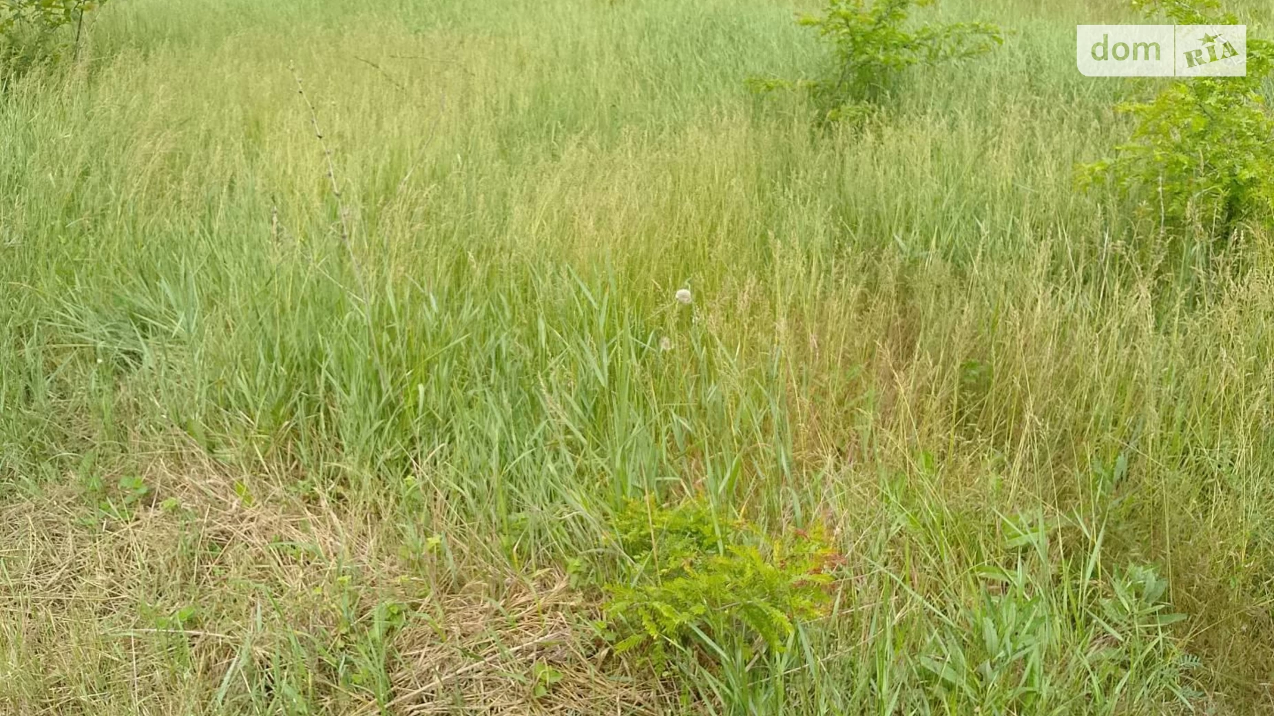 вул. Зарічна Барабой, цена: 9000 $ - фото 2