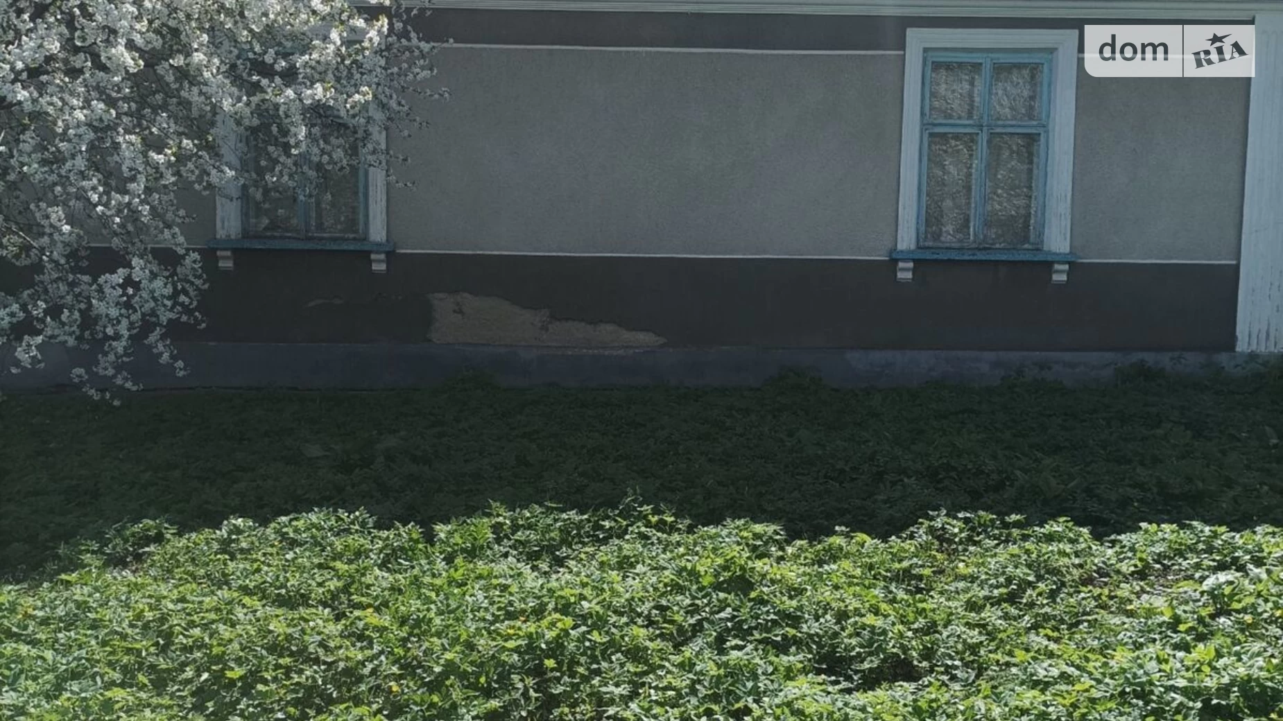Продается одноэтажный дом 65 кв. м с верандой, цена: 10500 $ - фото 4