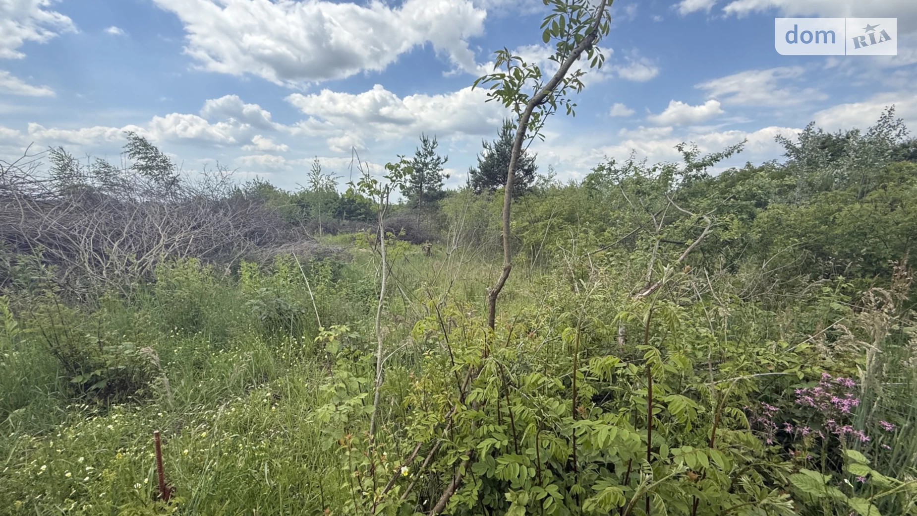 вул. Кільцева Великі Лази, цена: 12000 $ - фото 5