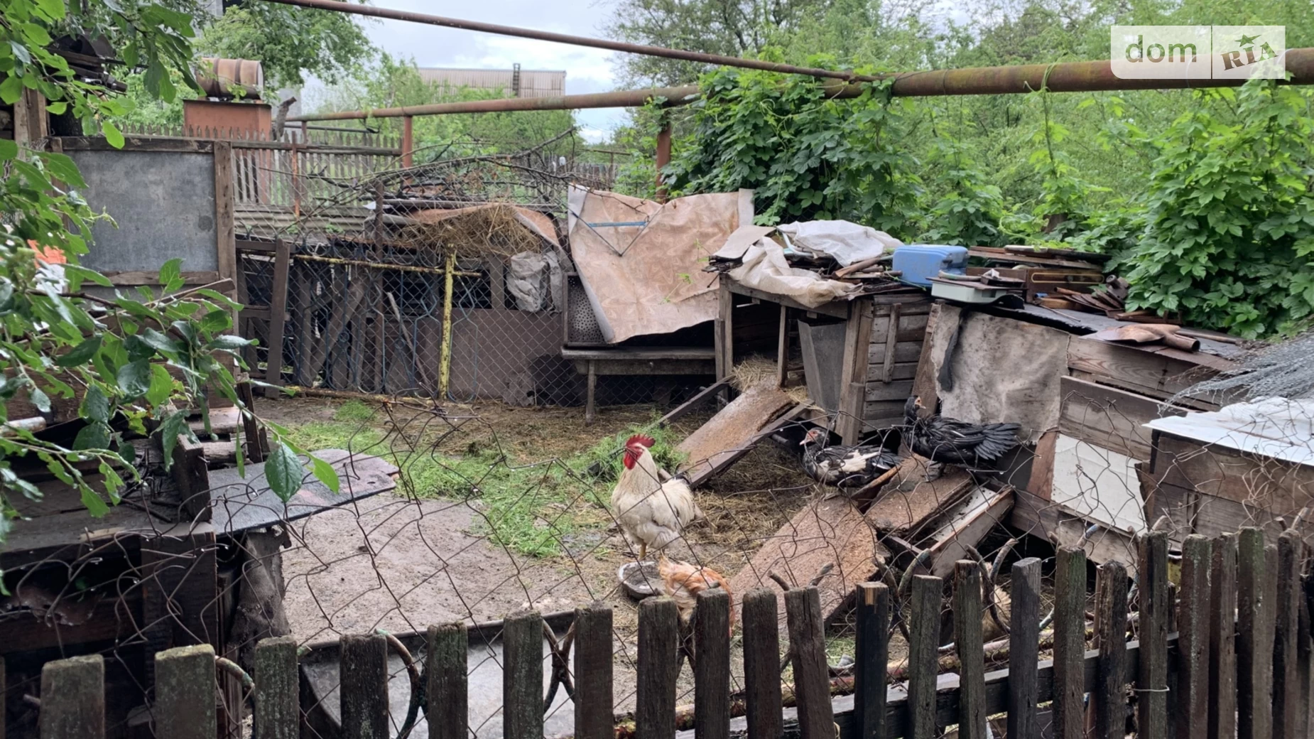 Продається одноповерховий будинок 45.7 кв. м з подвалом, цена: 20500 $ - фото 3