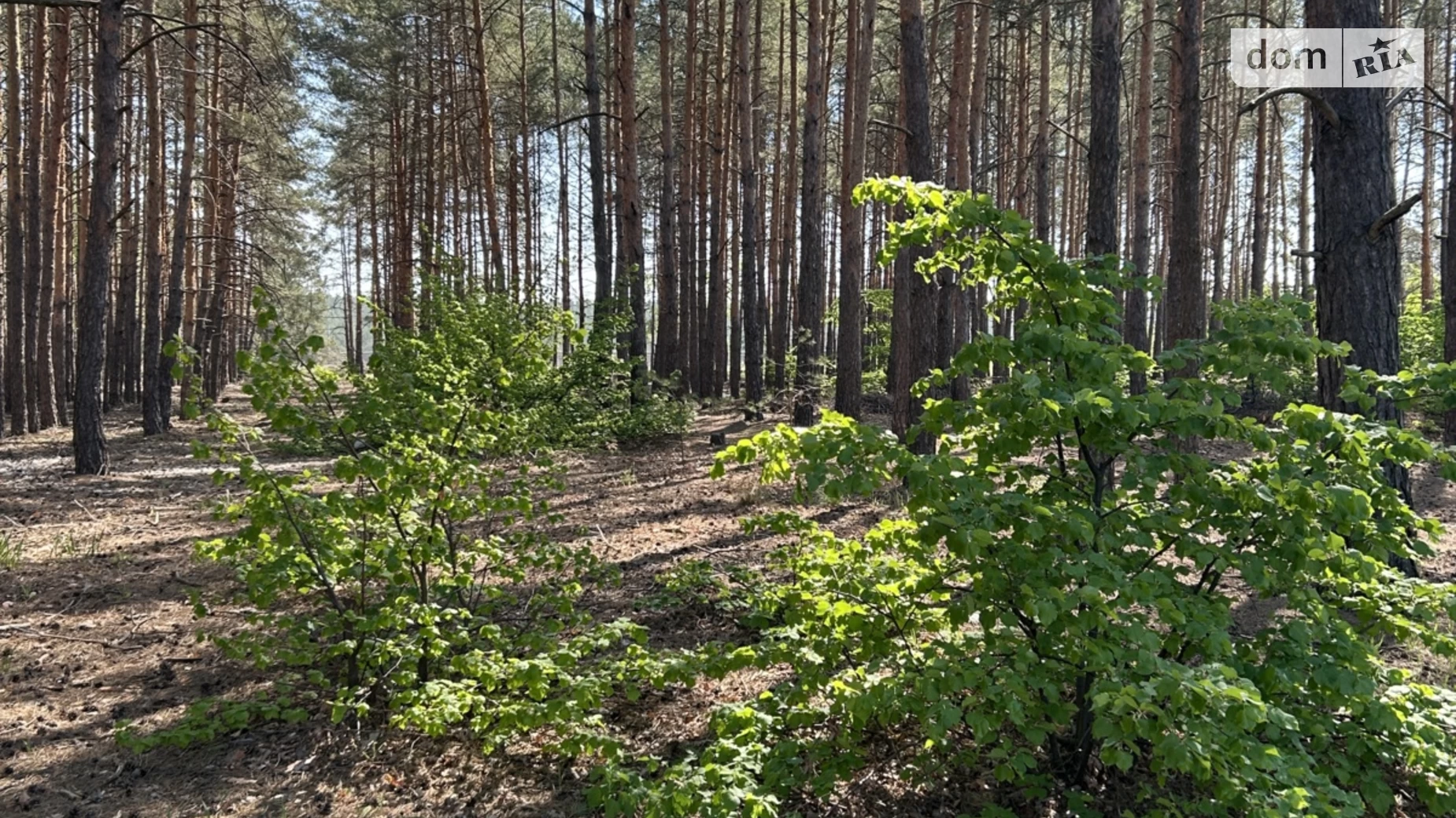 вул. Лебедина(Постишева) Лебедівка, цена: 22000 $ - фото 3