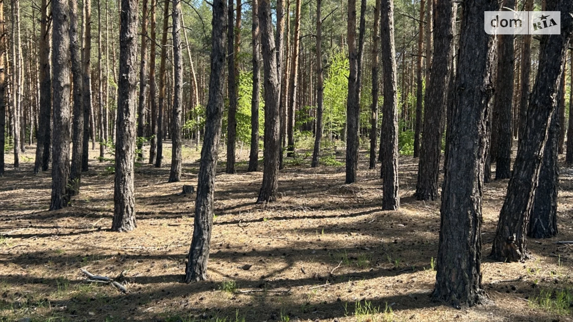 вул. Лебедина(Постишева) Лебедівка, цена: 22000 $ - фото 4