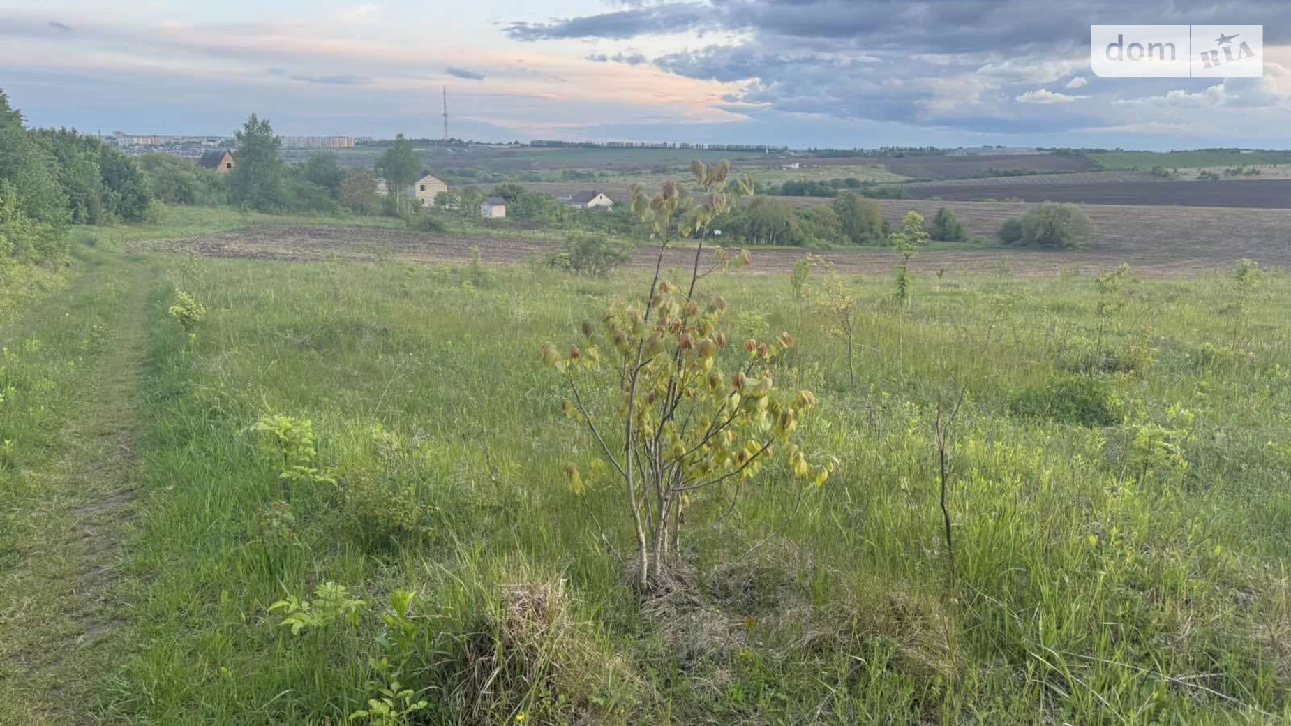 Лісові Гринівці, цена: 13500 $ - фото 4