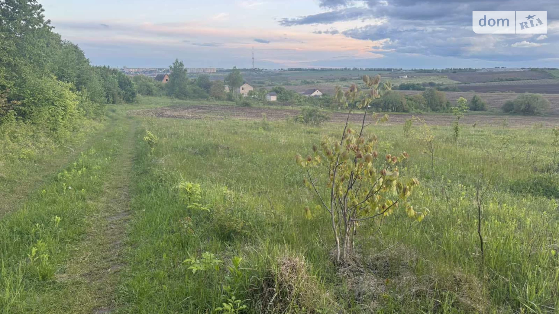 Лісові Гринівці, цена: 13500 $ - фото 5