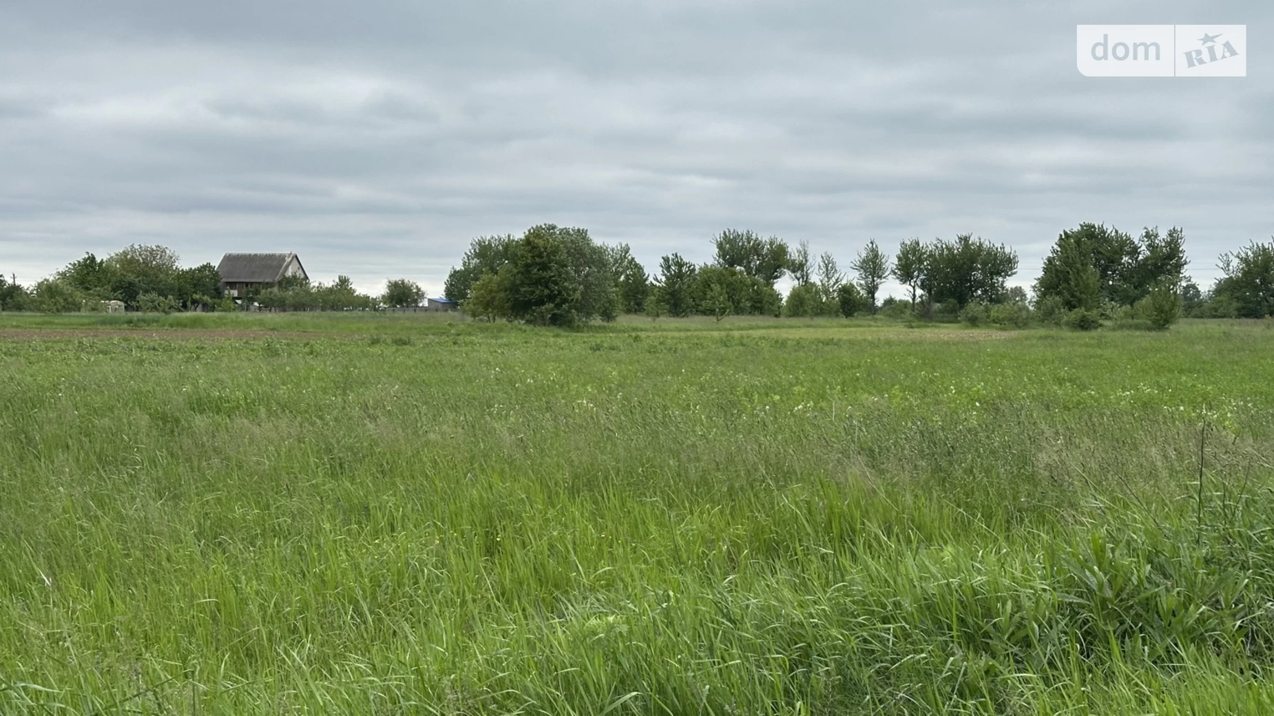 вул. Лісова Сокиринці, цена: 6000 $ - фото 3
