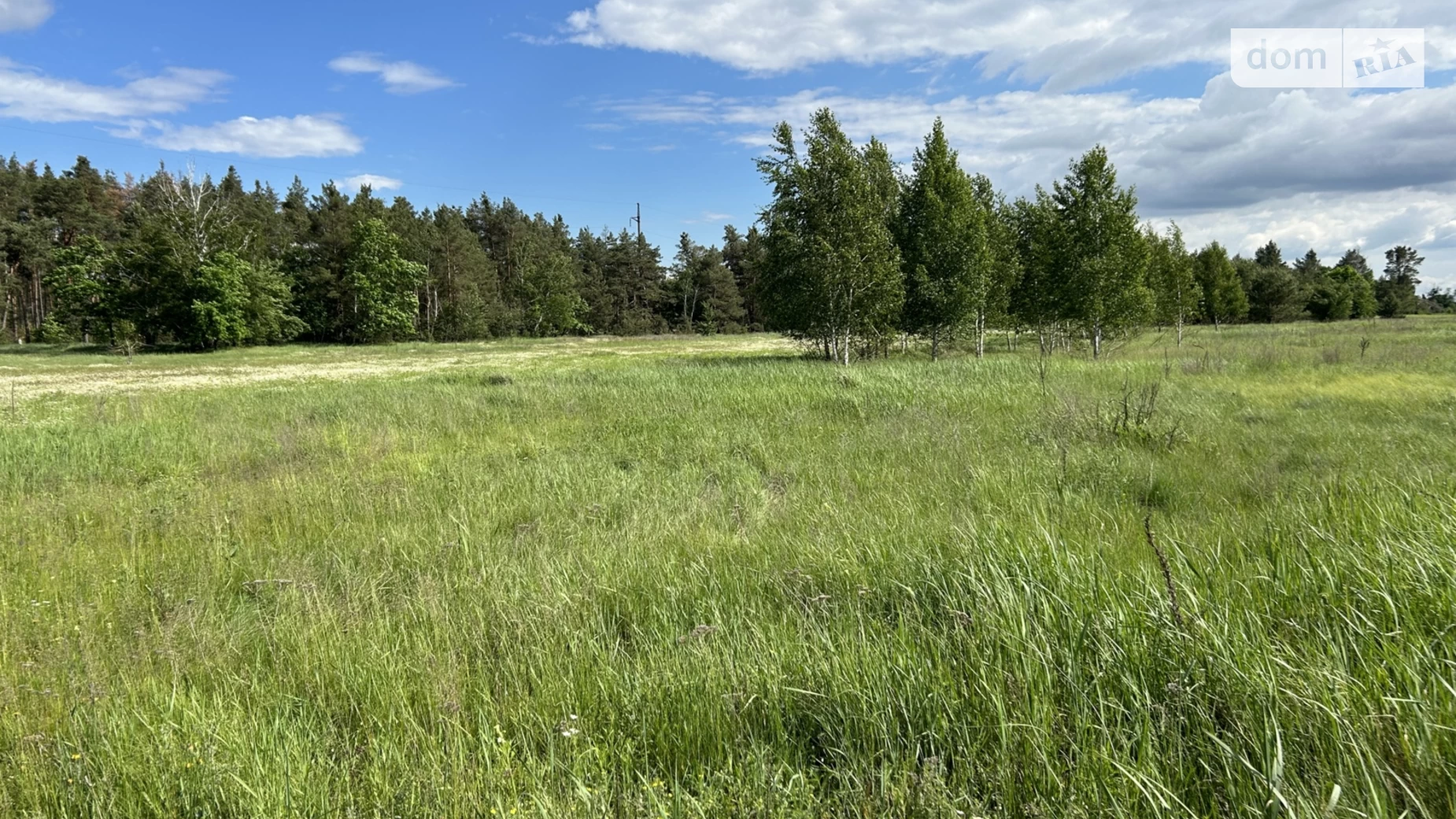 пров. Лісовий Лебедівка, цена: 38400 $ - фото 3