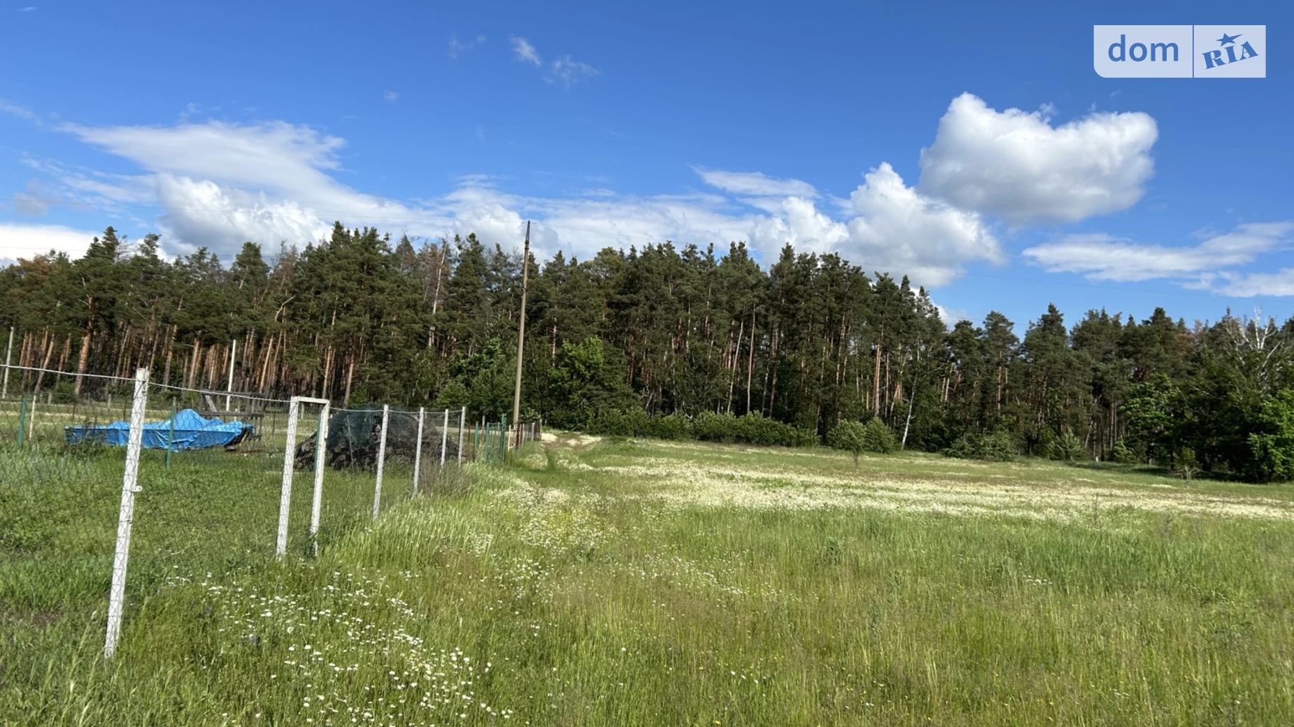 пров. Лісовий Лебедівка, цена: 38400 $ - фото 4