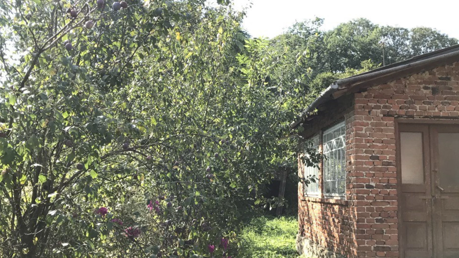 Продається одноповерховий будинок 50 кв. м с басейном, цена: 4000 $ - фото 4
