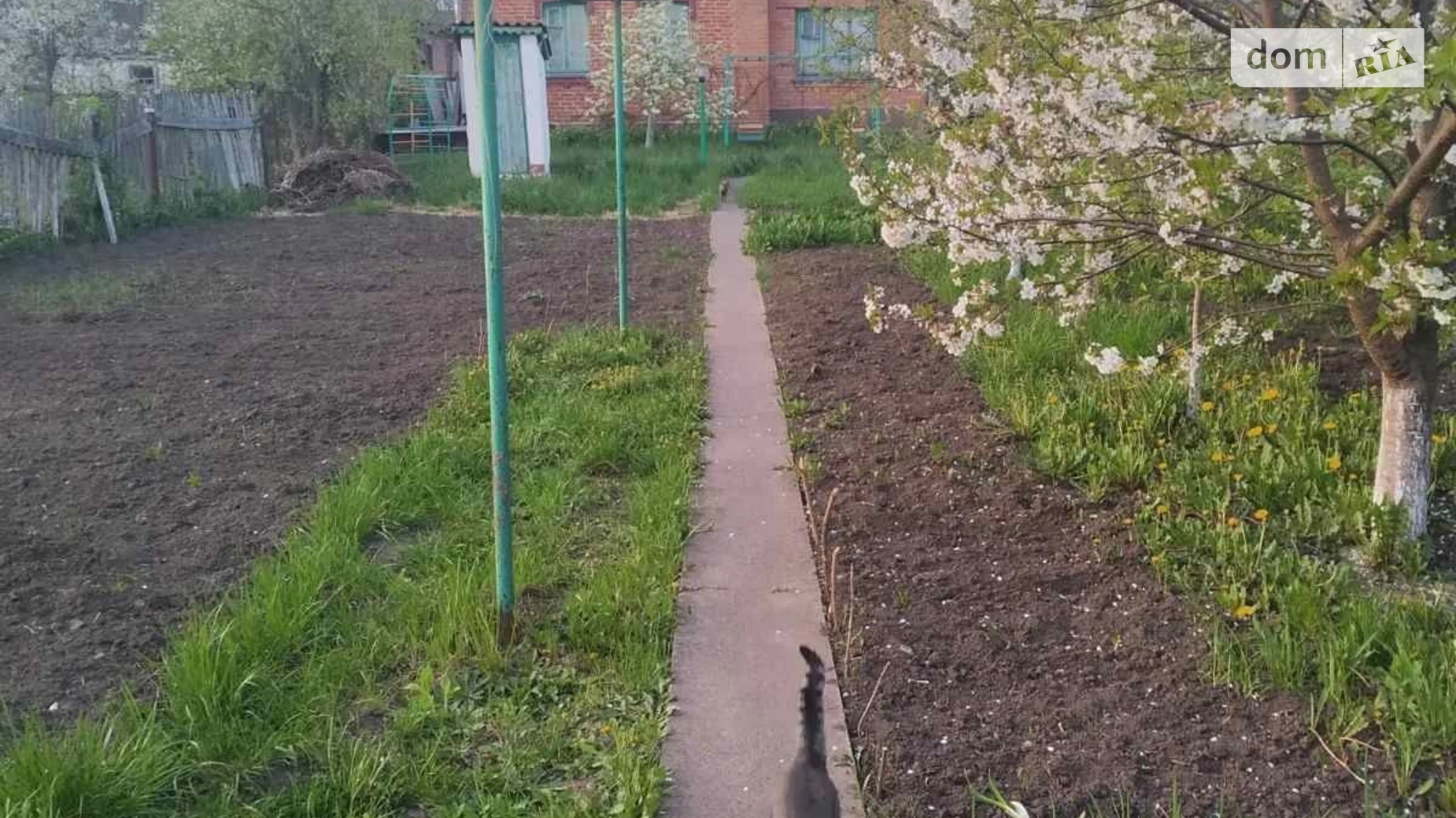 Продается одноэтажный дом 100 кв. м с камином, цена: 98000 $ - фото 5