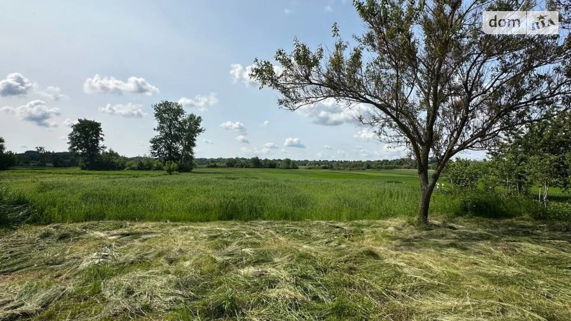 Продается земельный участок 25 соток в Винницкой области, цена: 5500 $ - фото 5