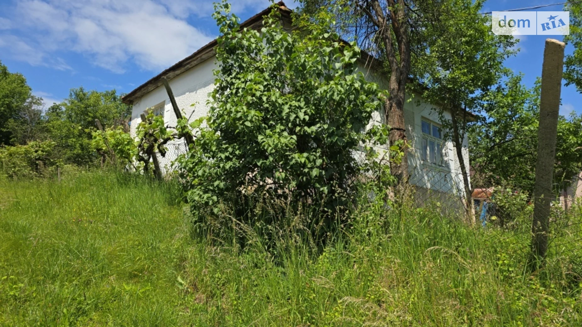 Продається одноповерховий будинок 50.6 кв. м з садом, цена: 13000 $ - фото 3