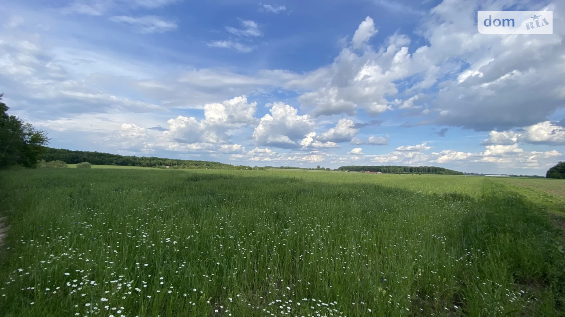 Яришівка (Тиврів), цена: 15000 $ - фото 2