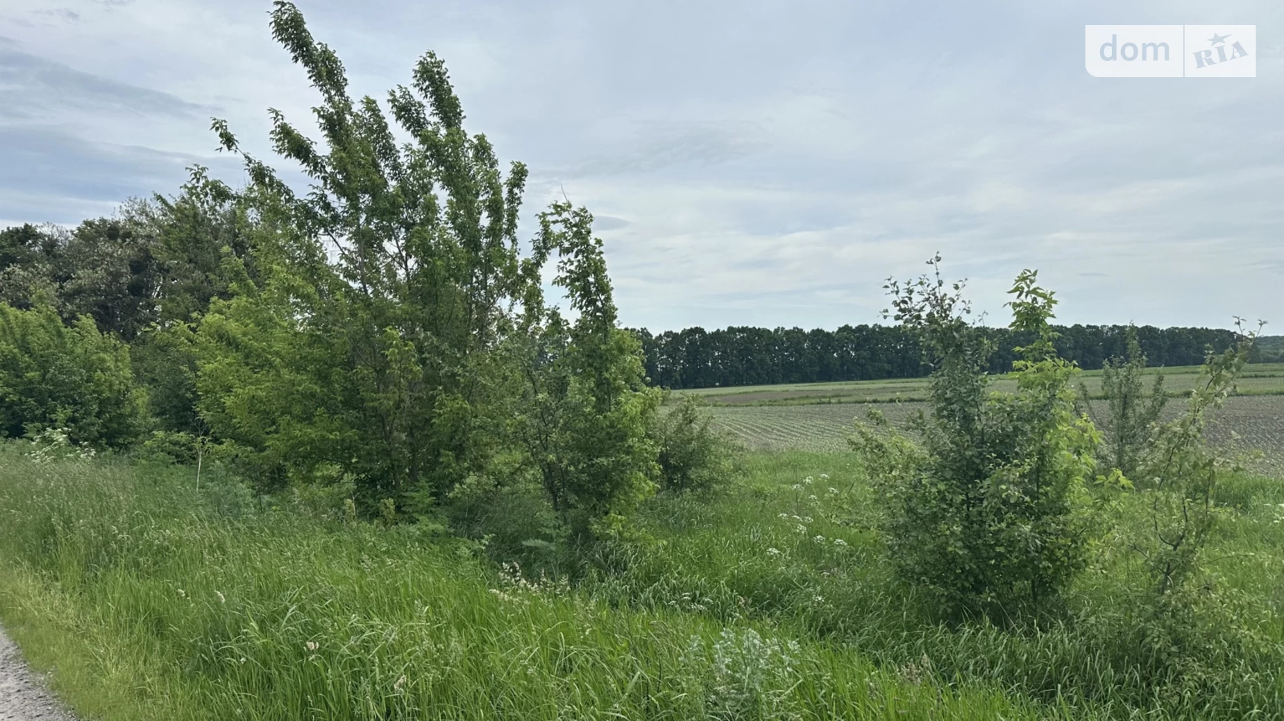 вул. Центральна Мізяківські Хутори, цена: 66000 $ - фото 4