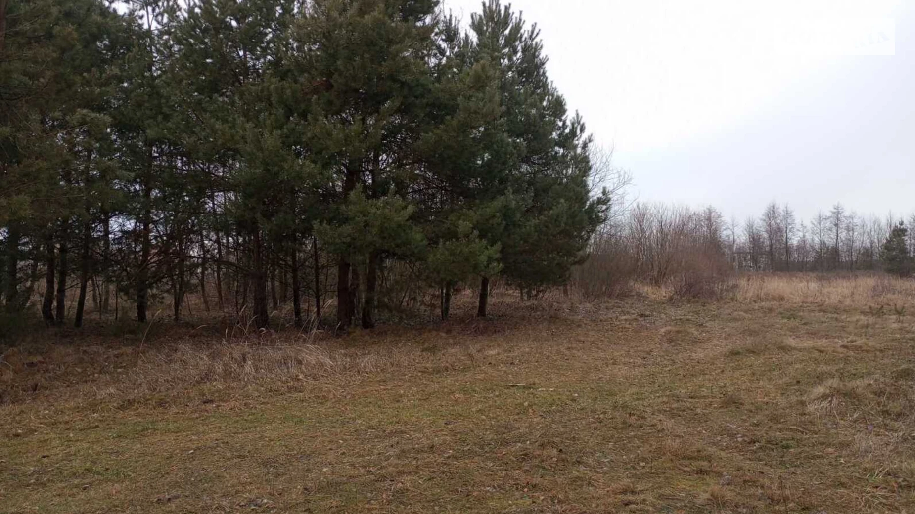 Продается земельный участок 25 соток в Львовской области, цена: 10500 $ - фото 4