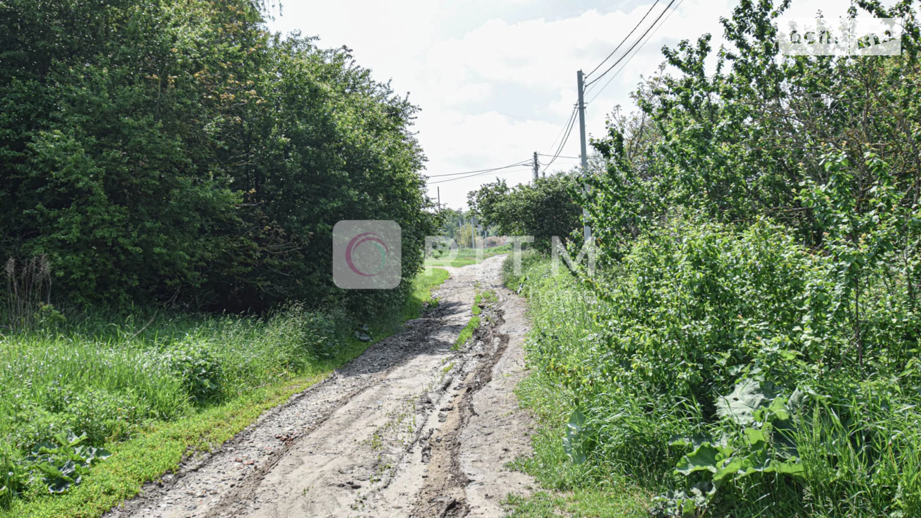 Продается земельный участок 10 соток в Тернопольской области, цена: 10000 $ - фото 3