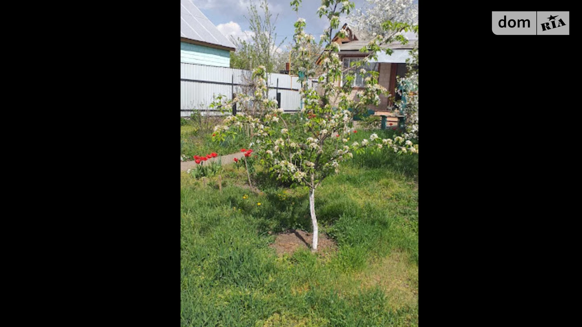 Продається одноповерховий будинок 57.1 кв. м с басейном, цена: 18500 $ - фото 5