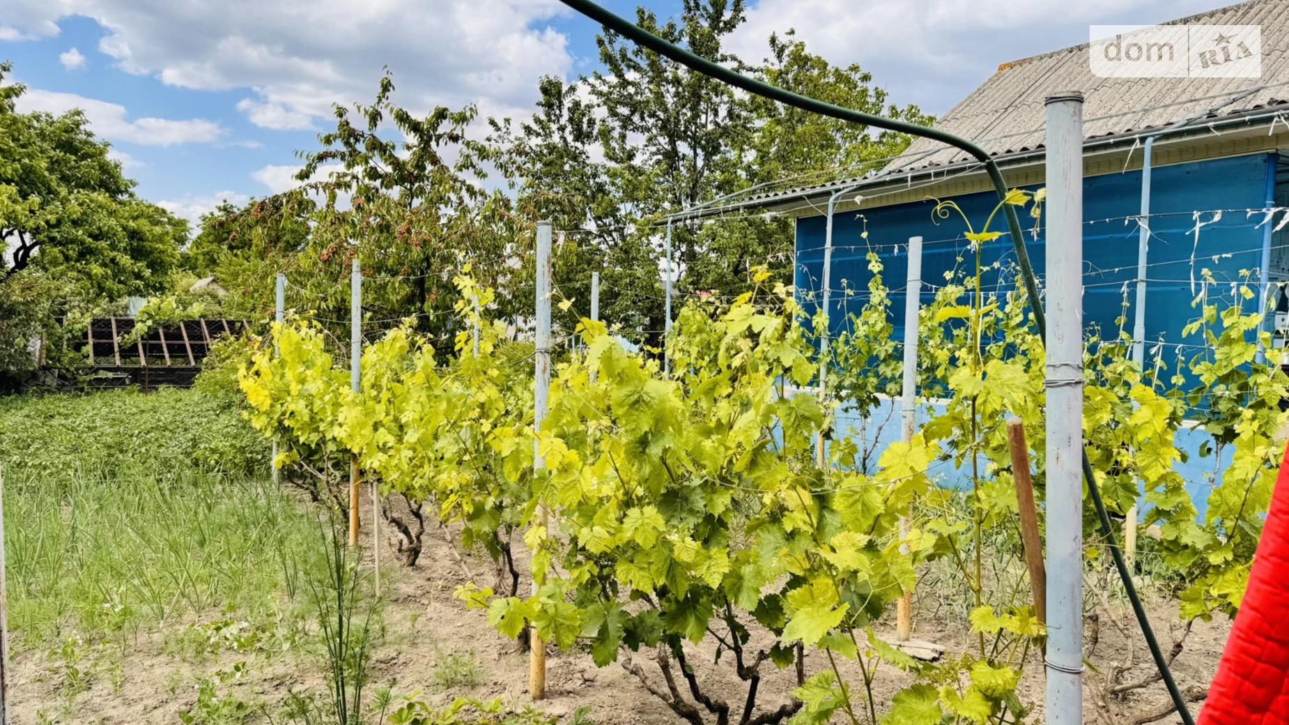 Продается одноэтажный дом 100 кв. м с террасой, цена: 45000 $ - фото 3