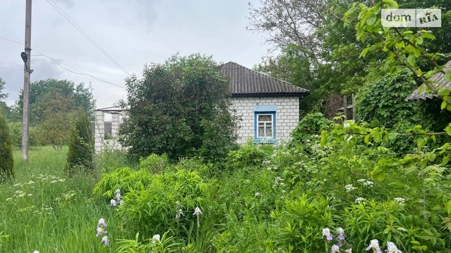 вулиця Тичини Рудницкое, цена: 7000 $ - фото 2