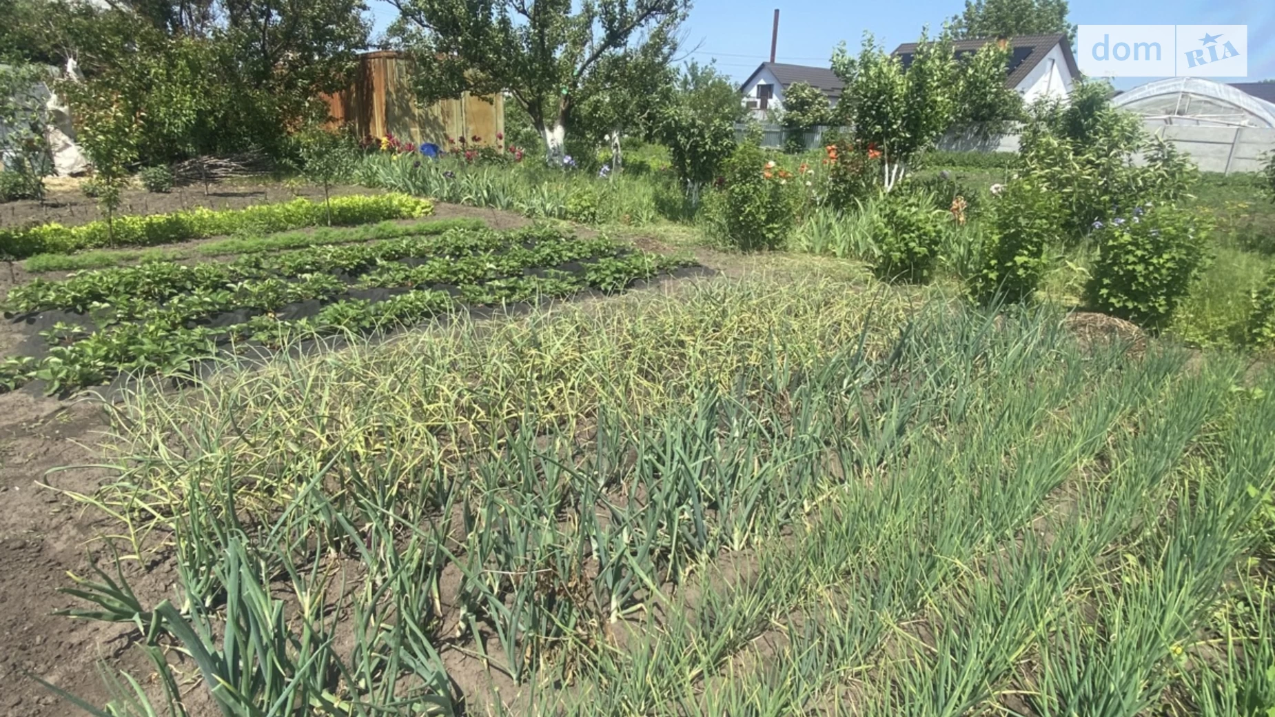 Продається земельна ділянка 14.89 соток у Київській області, цена: 6700 $ - фото 3