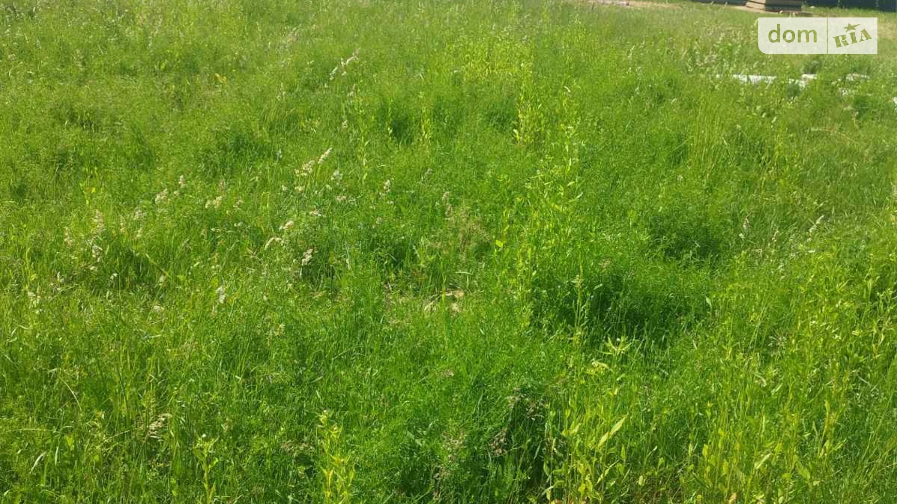 Продається земельна ділянка 5 соток у Вінницькій області, цена: 10500 $ - фото 2