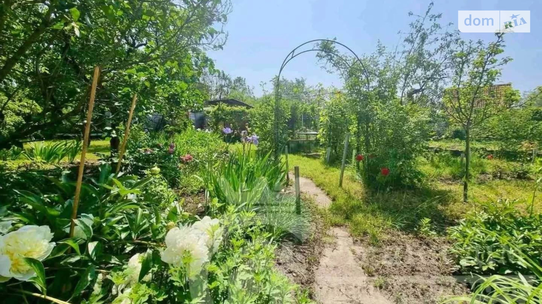 масив Ентузіастів Старые Безрадичи, цена: 50000 $ - фото 4