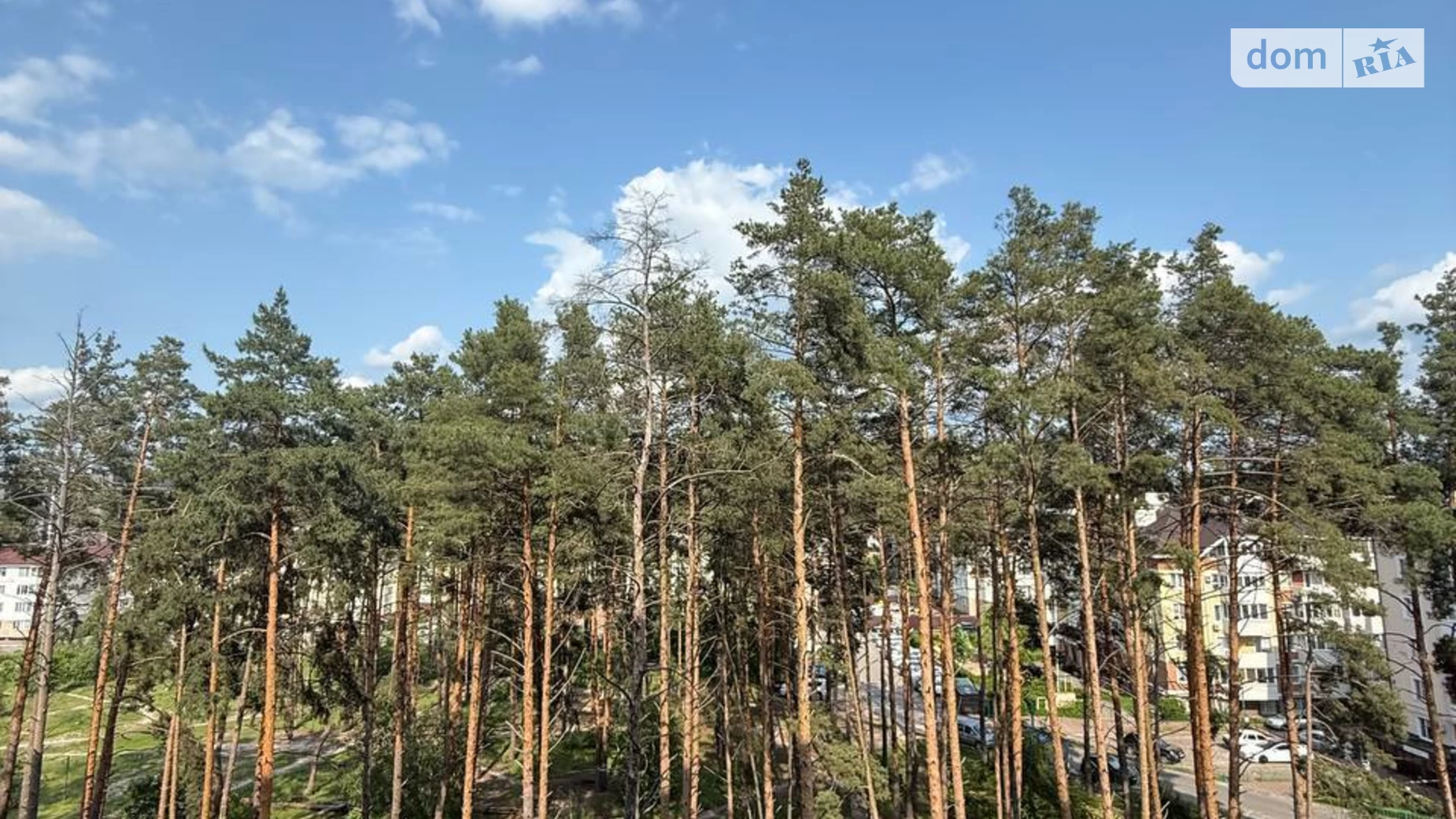 Сдается в аренду 1-комнатная квартира 40 кв. м в Ирпене, ул. Университетская(Карла Маркса), 2/1 - фото 2