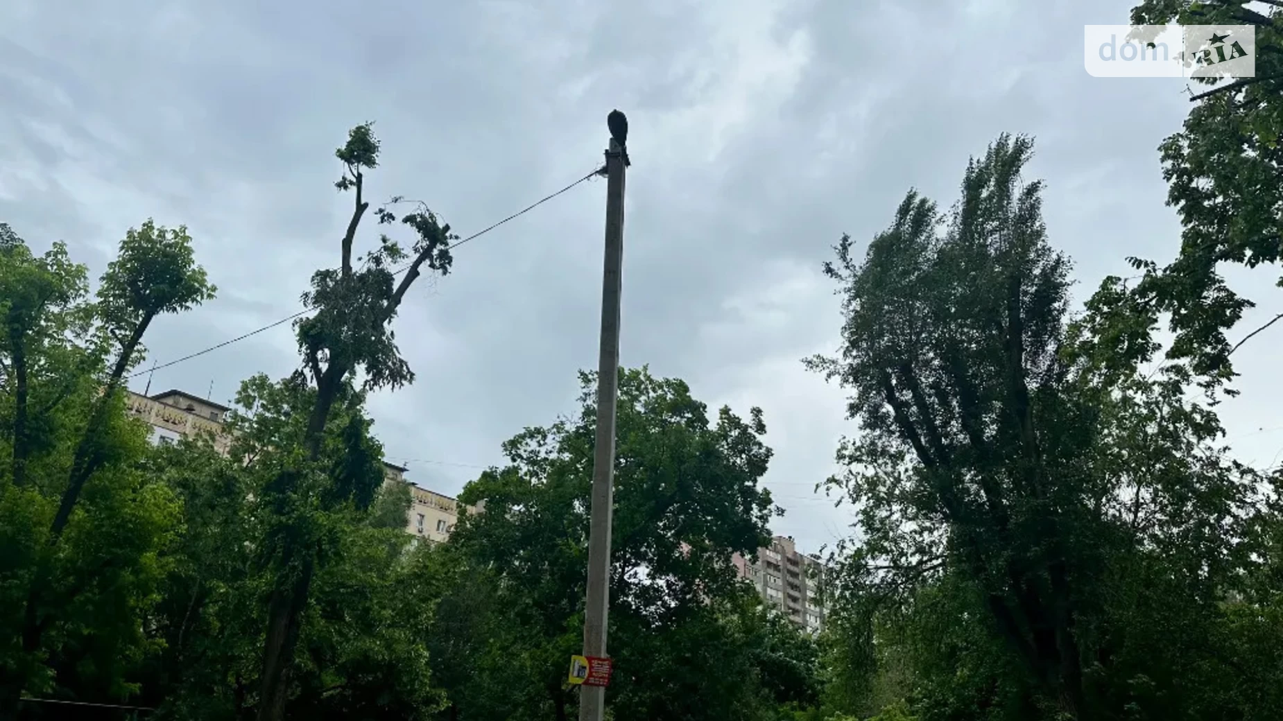 Продается 2-комнатная квартира 54 кв. м в Днепре, ул. Янтарная, 81/1 - фото 3