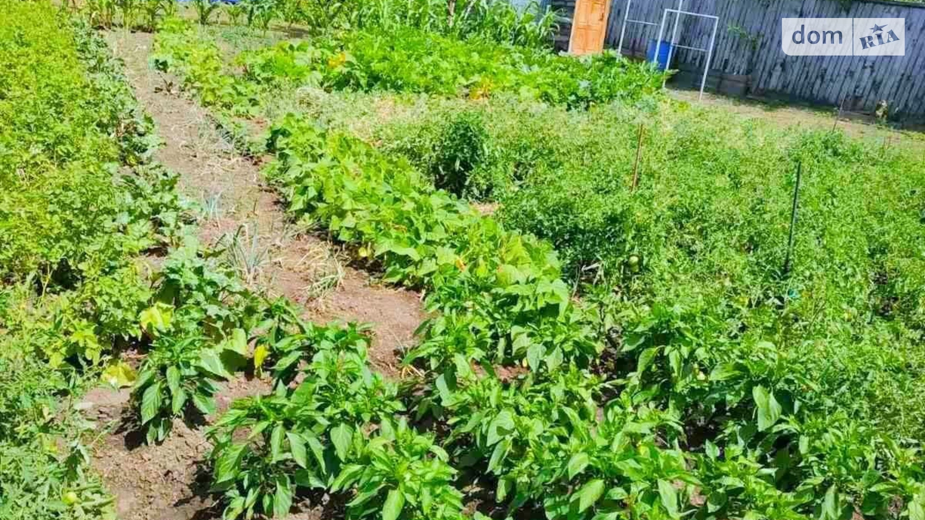 Продается дом на 2 этажа 277.9 кв. м с участком, цена: 35000 $ - фото 4
