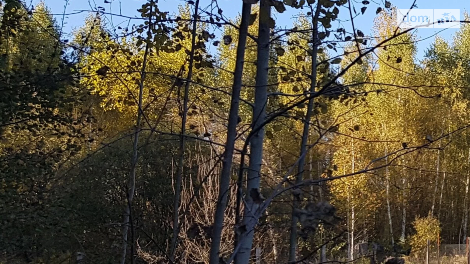 вул. Лайнер Ровжі, цена: 6000 $ - фото 2