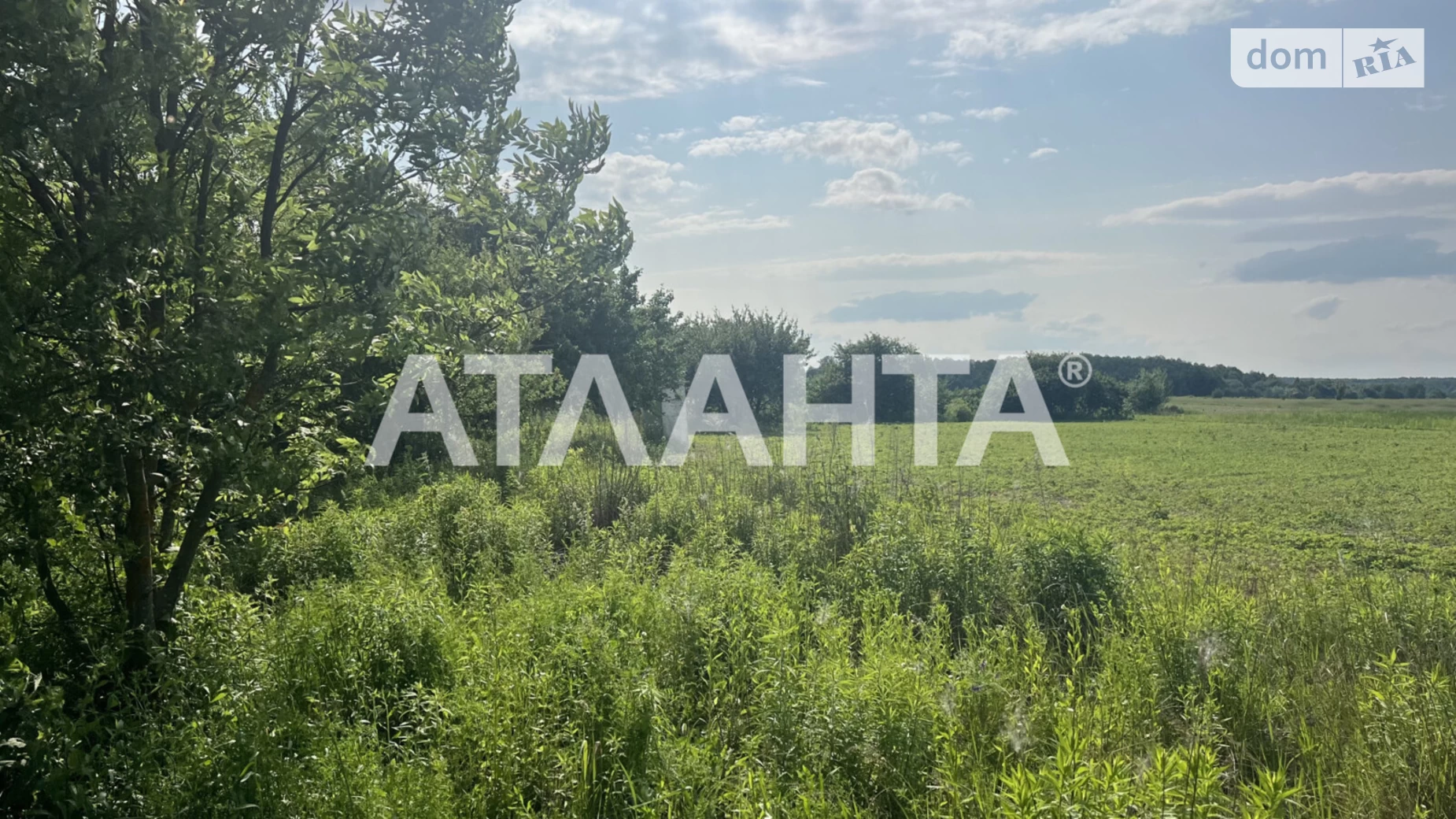Слобода-Дашковецька, цена: 9990 $ - фото 3