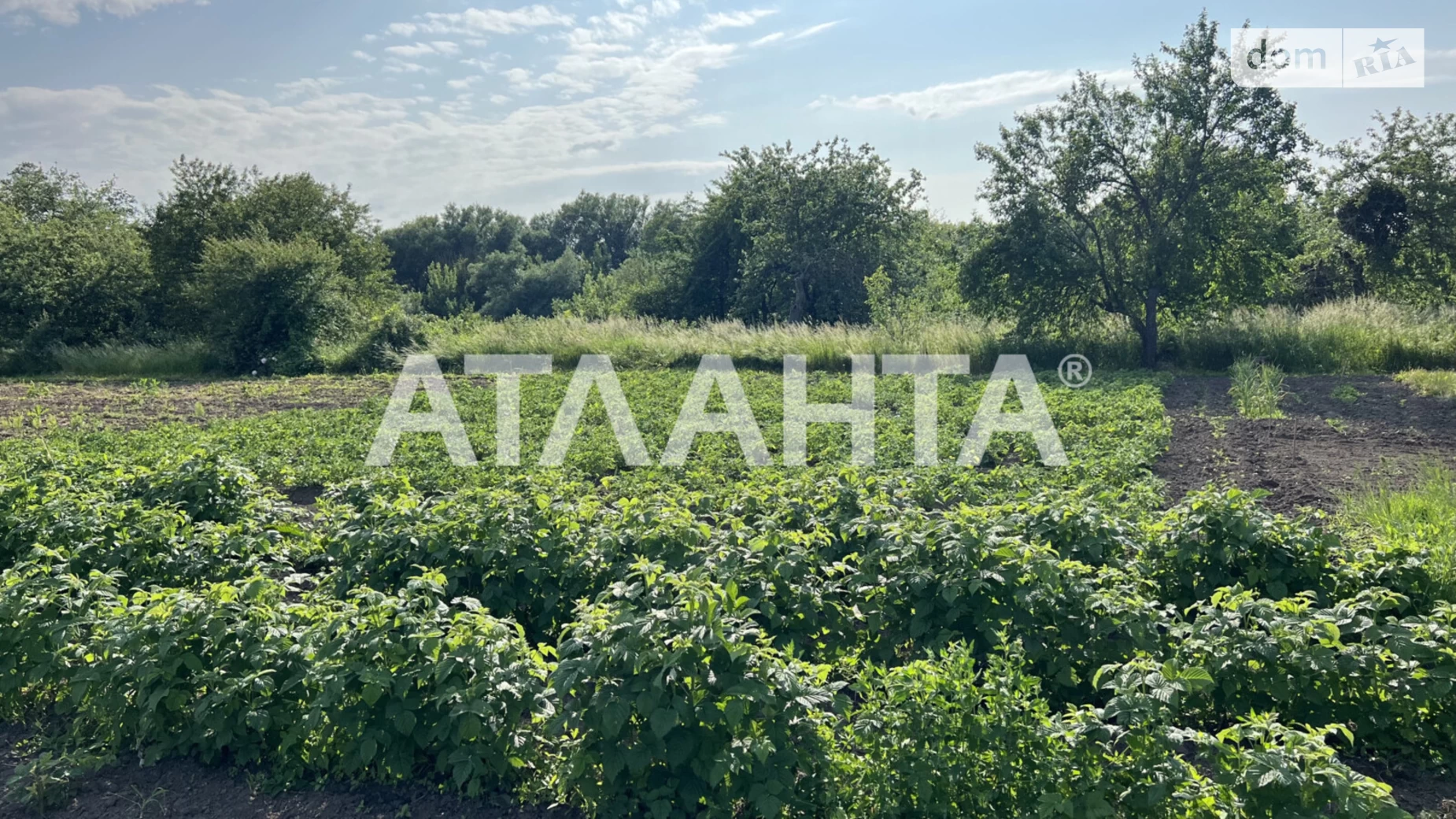 Ксаверівка, цена: 15000 $ - фото 5