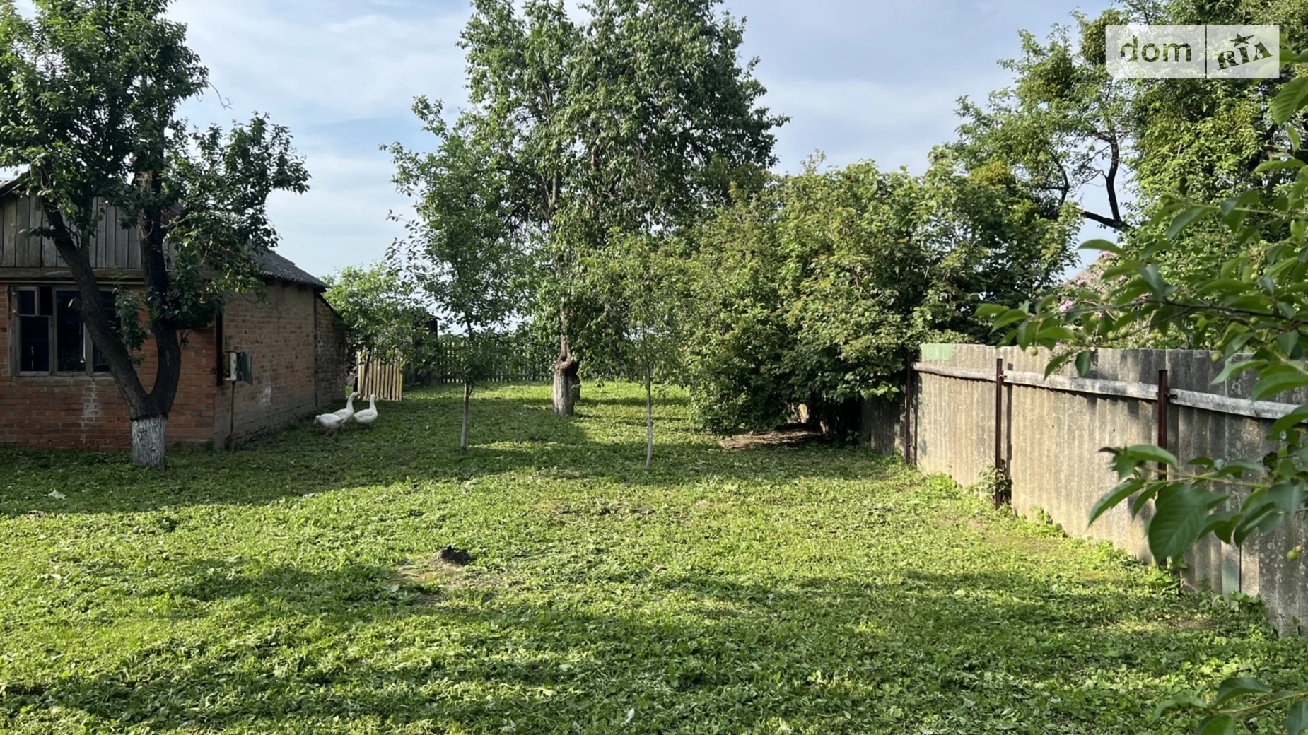 Продається одноповерховий будинок 49 кв. м з садом, цена: 25000 $ - фото 5