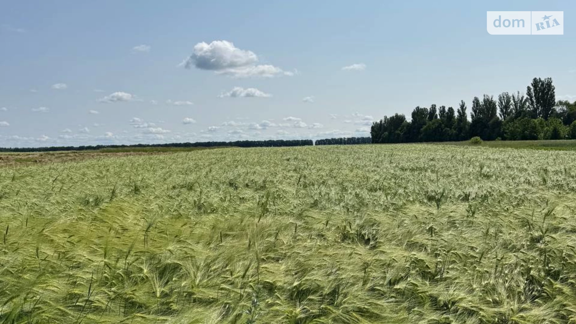 Продается земельный участок 25 соток в Винницкой области, цена: 8000 $ - фото 5